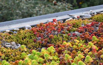 the cost of Hadley Wood green roof installation