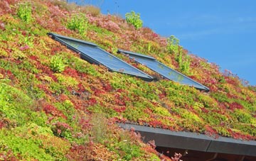 Hadley Wood living roof systems