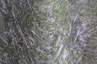 Hadley Wood fibreglass roof work